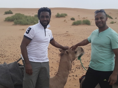 camel-treking