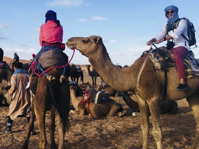 morocco-camel-trek