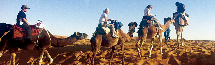 Tour from Marrakech