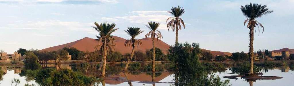 top private desert tours